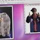 Illustration for article titled Photoshop Tutorial Rap 2: Still Surprisingly Handy!